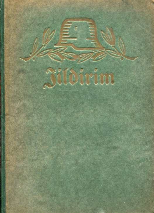 Schlachten des Weltkrieges:  Dr. Werner Steuber - Jildirim