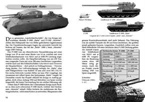 Krüger, Dennis: Wunderwaffen & Geheimprojekte - Revolutionäre Waffentechnologie & unkonventionelle Militärforschung im 3. Reich