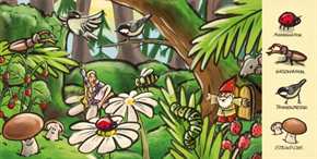 Wessels & Zweifefelsfeuer: Unser wunderbarer Wald - Wimmelbuch - phantastischer Herbstwald