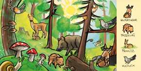 Wessels & Zweifefelsfeuer: Unser wunderbarer Wald - Wimmelbuch - phantastischer Herbstwald