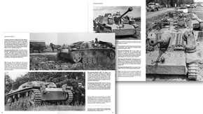 Cardona, Ricardo Recio / Vaquerizo, Carlos de Diego: Sturmgeschütz - Development, Weaponry and Uniforms of the Wehrmacht's Assault Gun Units (1940-1945)