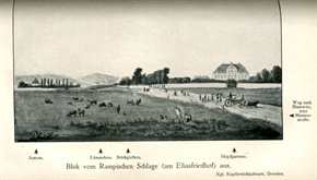 Brabant, Dr. Artur: In und um Dresden 1813 - Deutsche Schlachtfelder